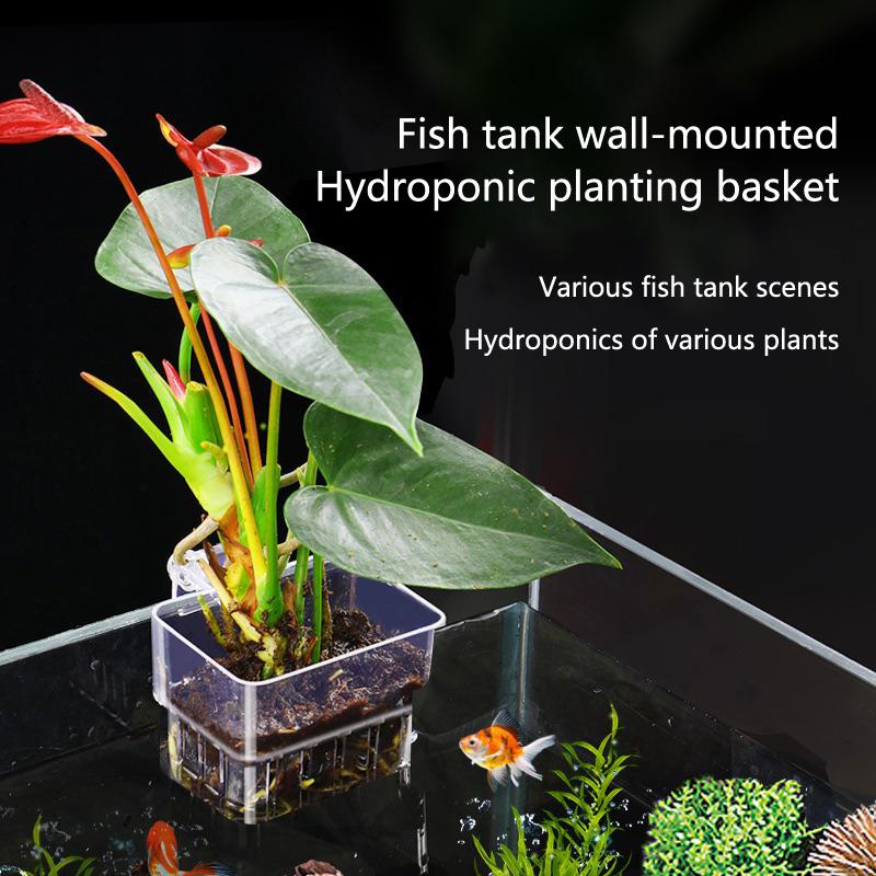 Aquarium Planted Set Up - Aquarium Hydroponic Planting Cup 2 5
