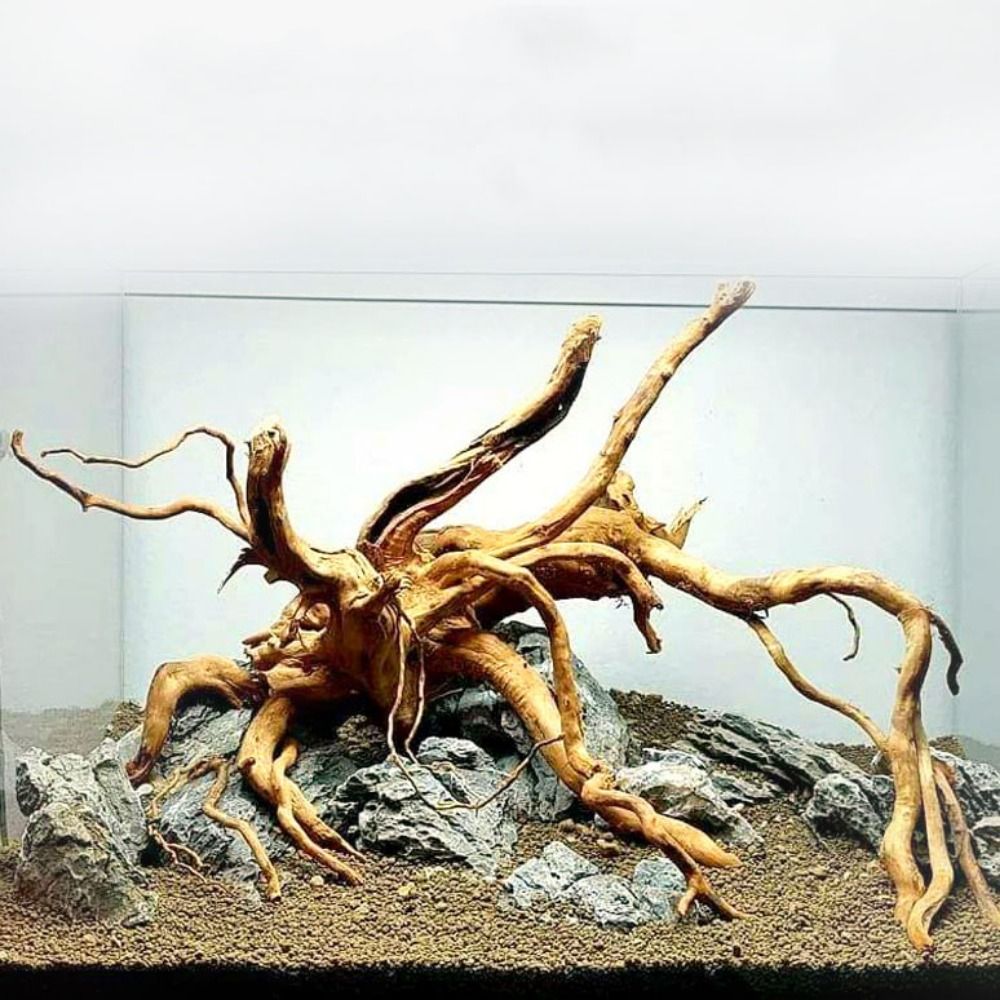 Aquarium Planted Wood - Natural Tree Trunk Aquarium Decoration Wood