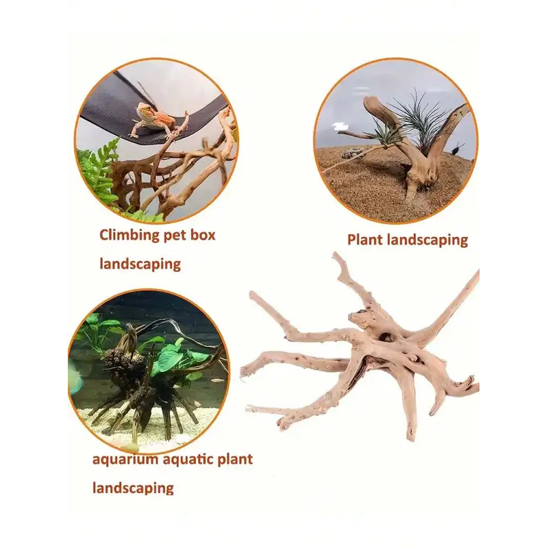 Natural Driftwood for Aquarium - Aquarium Planted Wood 评论和价格