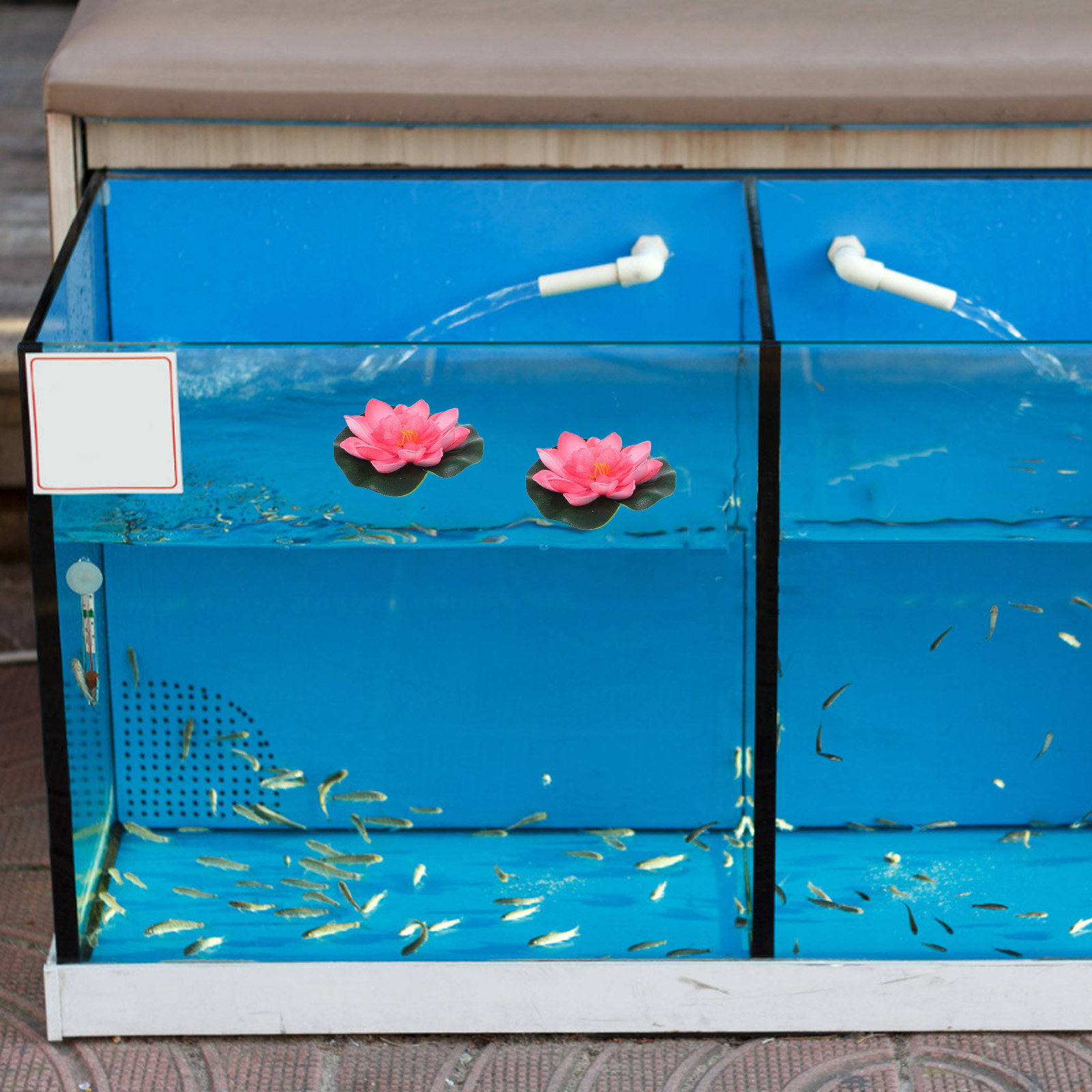 12Pcs Artificial Floating Wate - Aquarium Plant Original 评论和价格