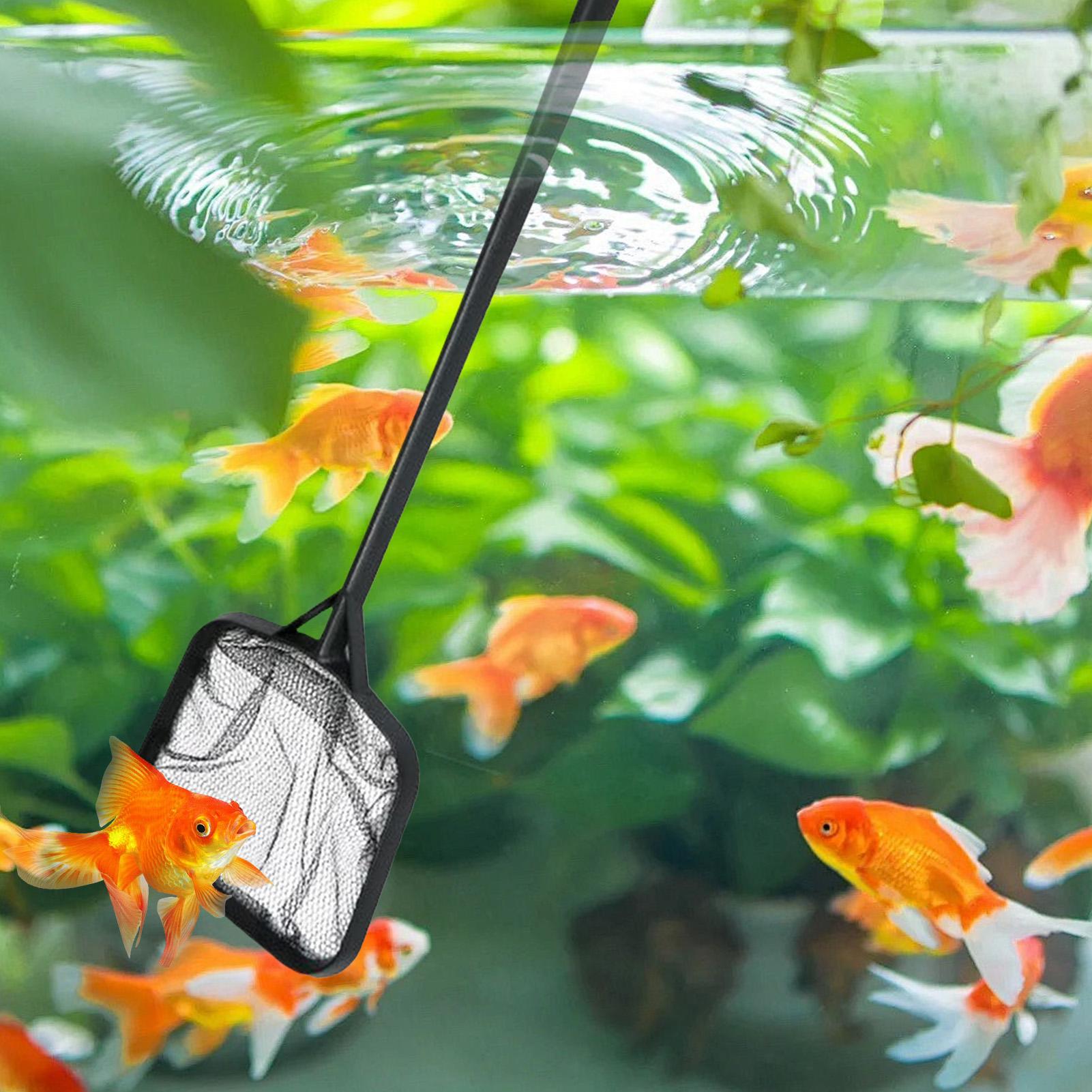 Pool Nets for Cleaning Portabl - Planted Aquarium Cleaning 评论和价格