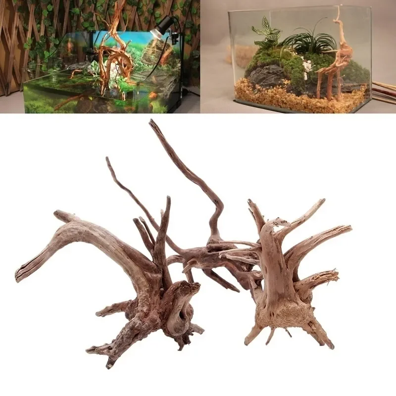 Natural Tree Trunk Driftwood A - Aquarium Planted Wood 评论和价格