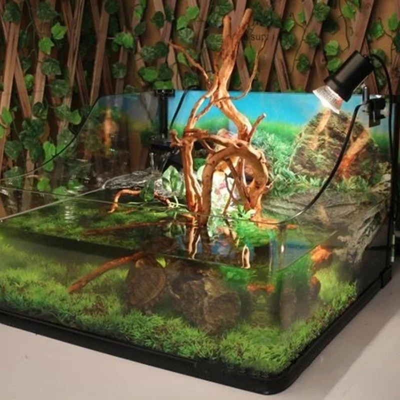 Natural Tree Trunk Driftwood A - Aquarium Planted Wood 评论和价格