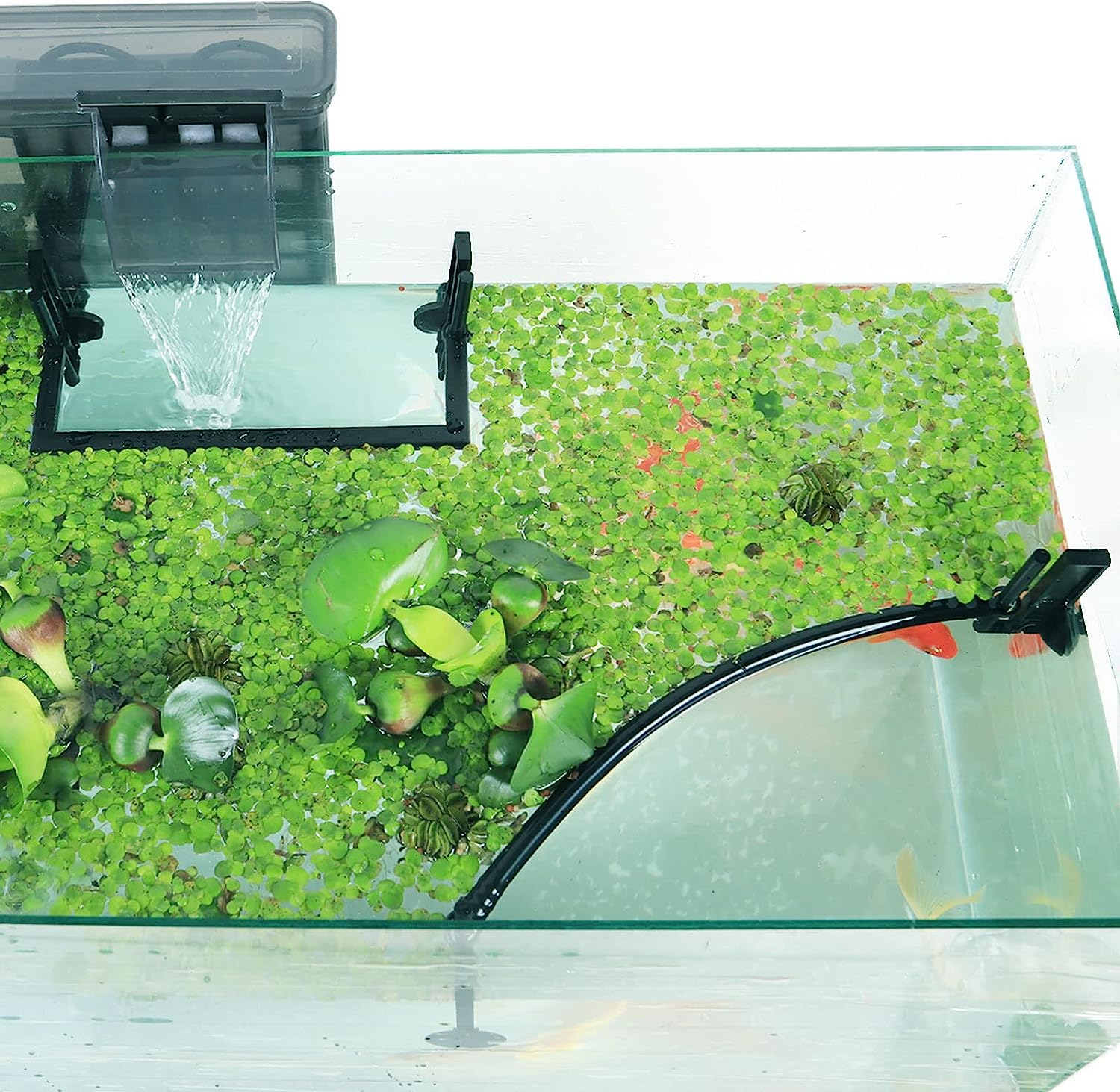 Aquarium Floating Plant Corral - Planted Aquarium Heater 评论和价格