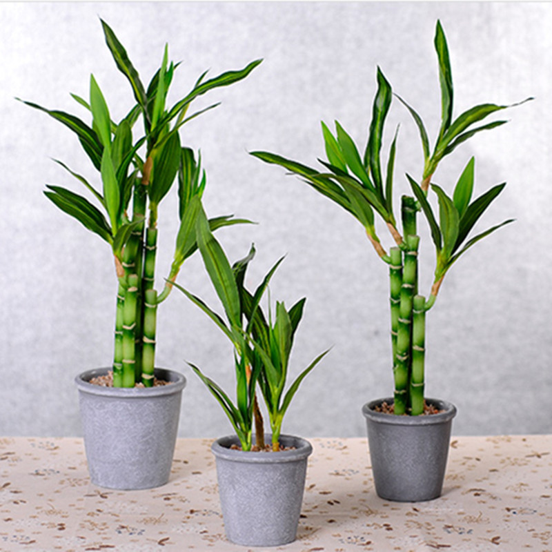 New 40cm rFtificial Lucky Bamb - Aquarium Plant Display 评论和价格