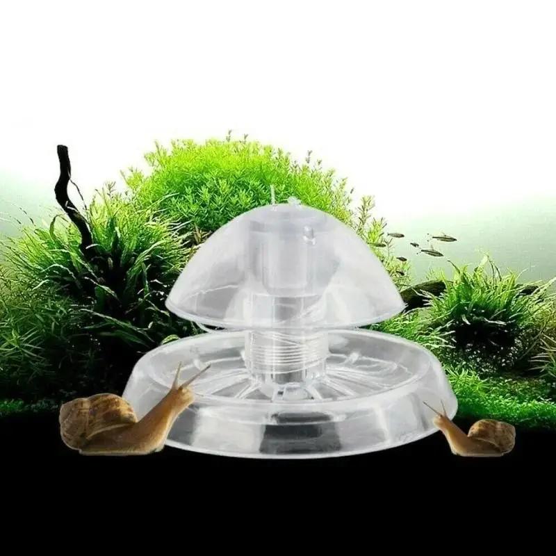 2026 New 6/8CM Clear Plastic S - Planted Aquarium Cleaning 评论和价格