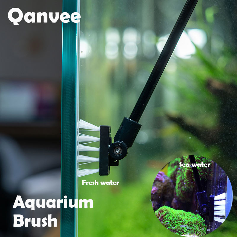 Fishing Cleaning Brush Plant T - Planted Aquarium Freshwater 评论和价格