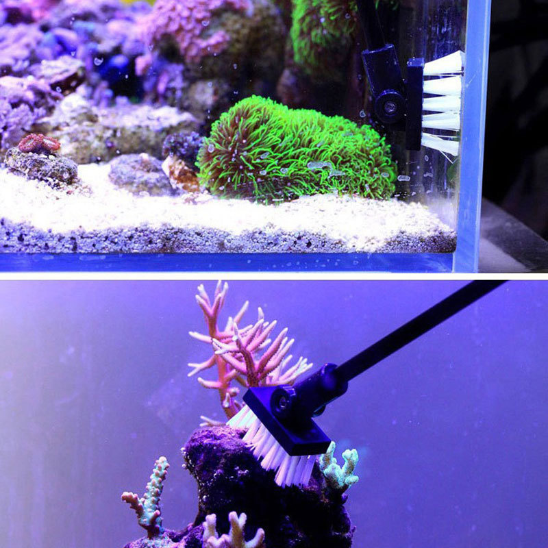 Fishing Cleaning Brush Plant T - Planted Aquarium Freshwater 评论和价格