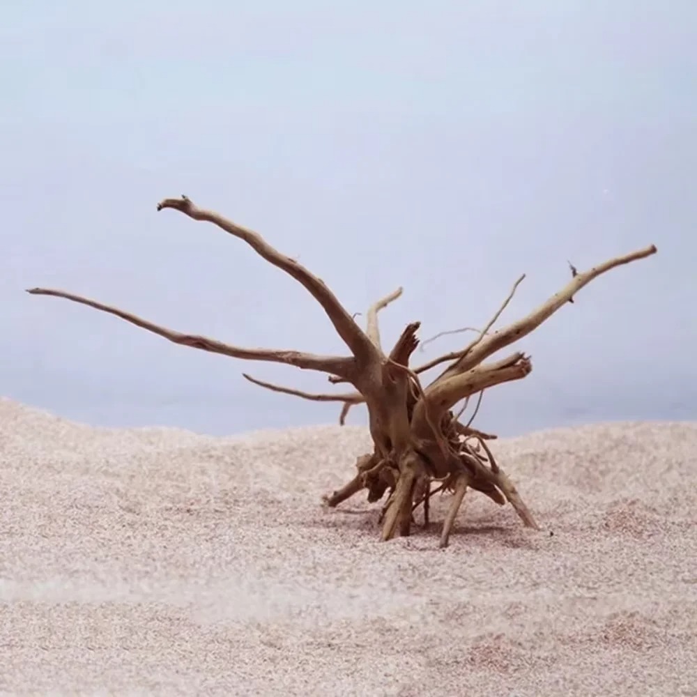 15-20CM Natural Driftwood Aqua - Aquarium Planted Wood 评论和价格