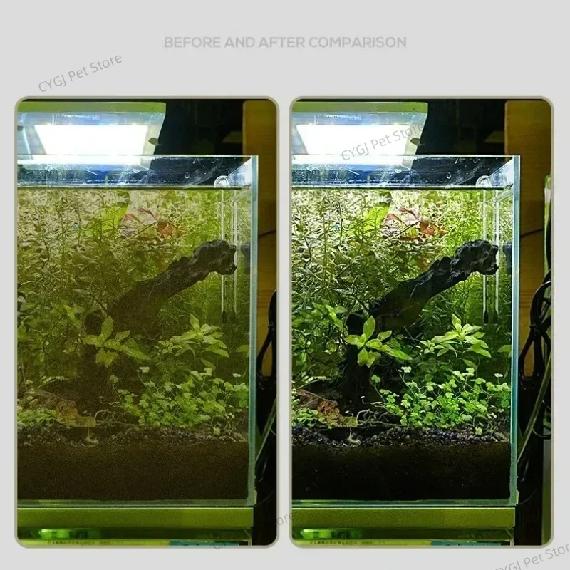 Fish Tank Cleaning Tool Flat S - Planted Aquarium Cleaning 评论和价格