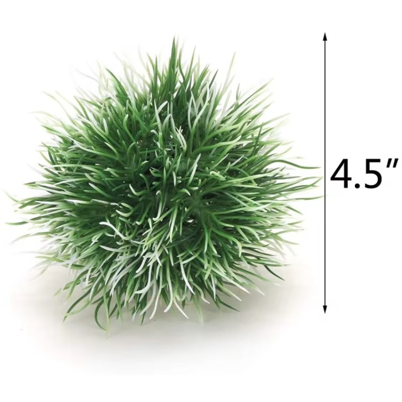 10pcs Hot Selling New Arrival  - Aquarium Plants For Sale 评论和价格