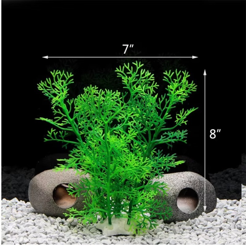 10pcs Hot Selling New Arrival  - Aquarium Plants For Sale 评论和价格