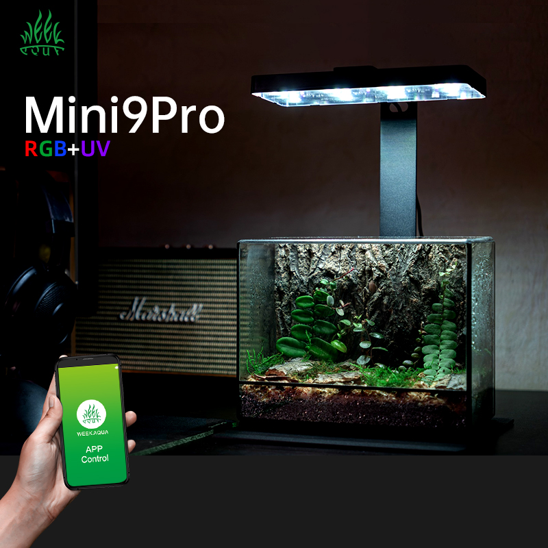Hot Sale Mini9pro Nano Terrari - Aquarium Plants For Sale 评论和价格