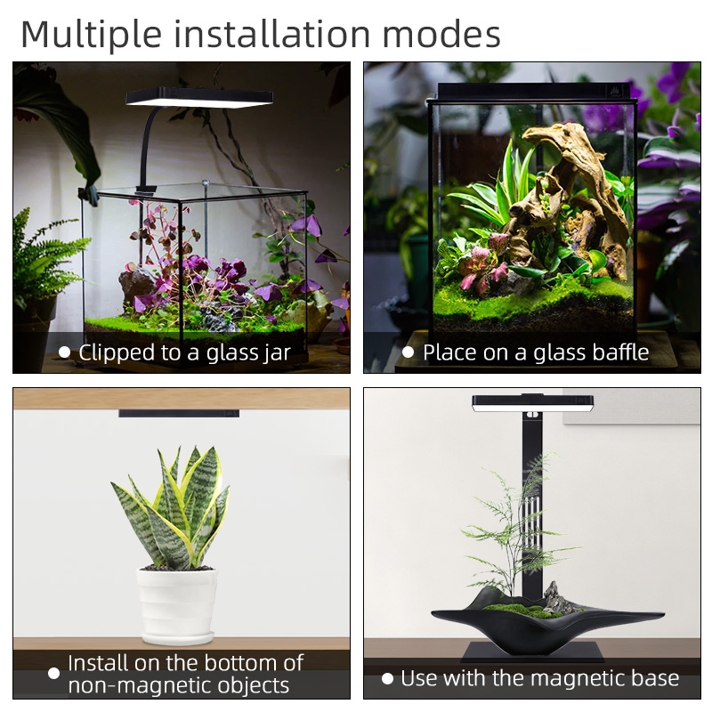 Hot Sale Mini9pro Nano Terrari - Aquarium Plants For Sale 评论和价格