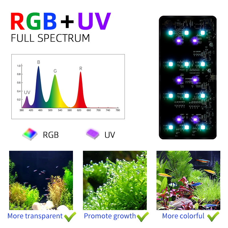Hot Sale Mini9pro Nano Terrari - Aquarium Plants For Sale 评论和价格