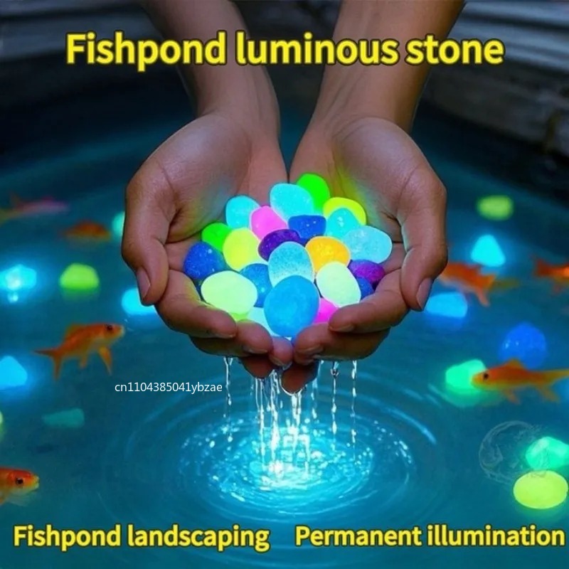 100-800pcs Glow in The Dark Pe - Aquarium Plant Original 评论和价格