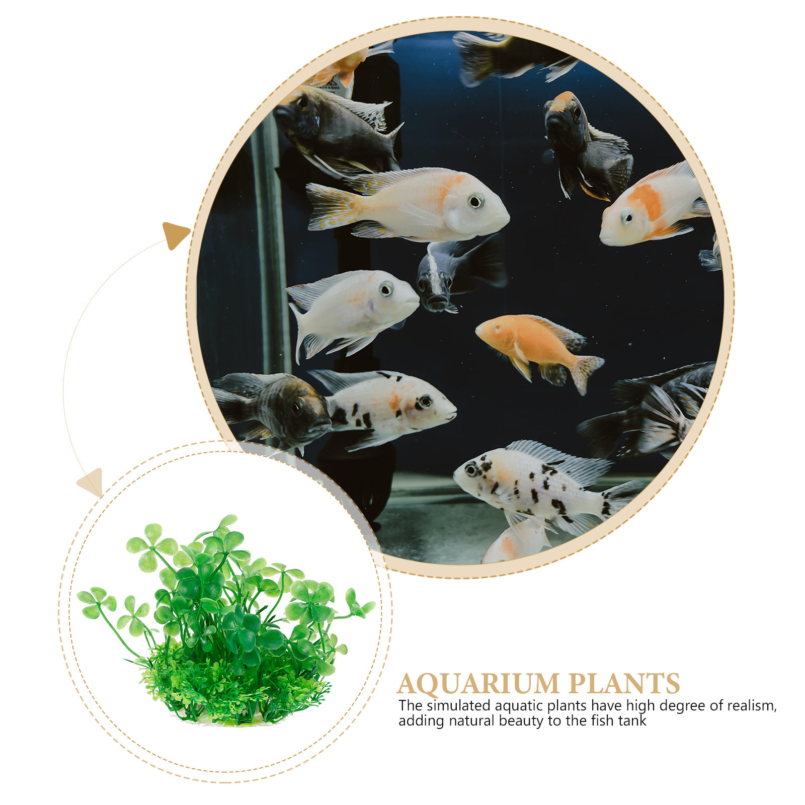 Premium Realistic Artificial A - Aquarium Planted Set Up 评论和价格