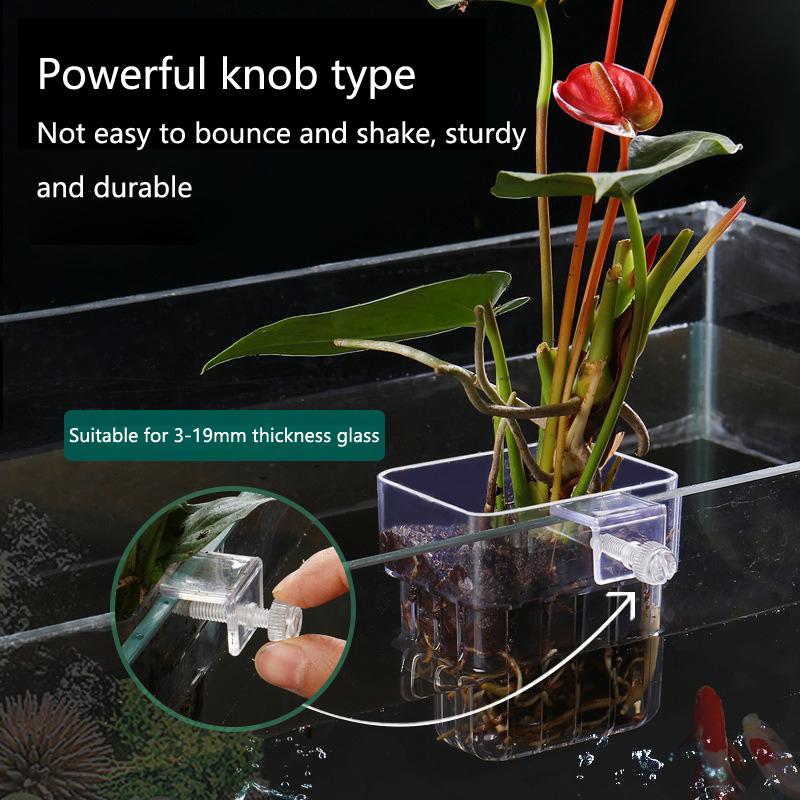 Aquarium Hydroponic Planting C - Aquarium Planted Set Up 评论和价格