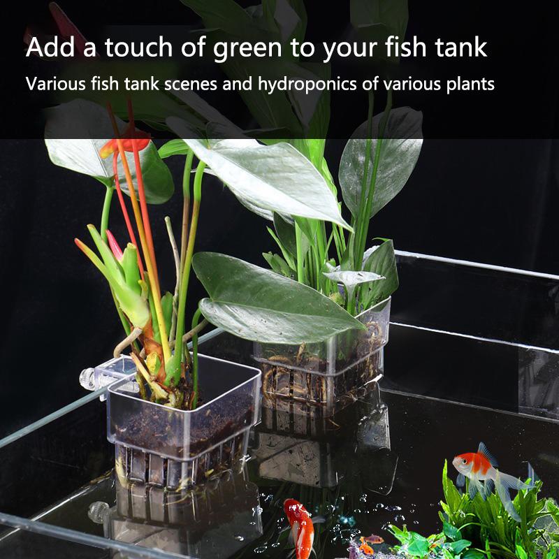 Aquarium Hydroponic Planting C - Aquarium Planted Set Up 评论和价格