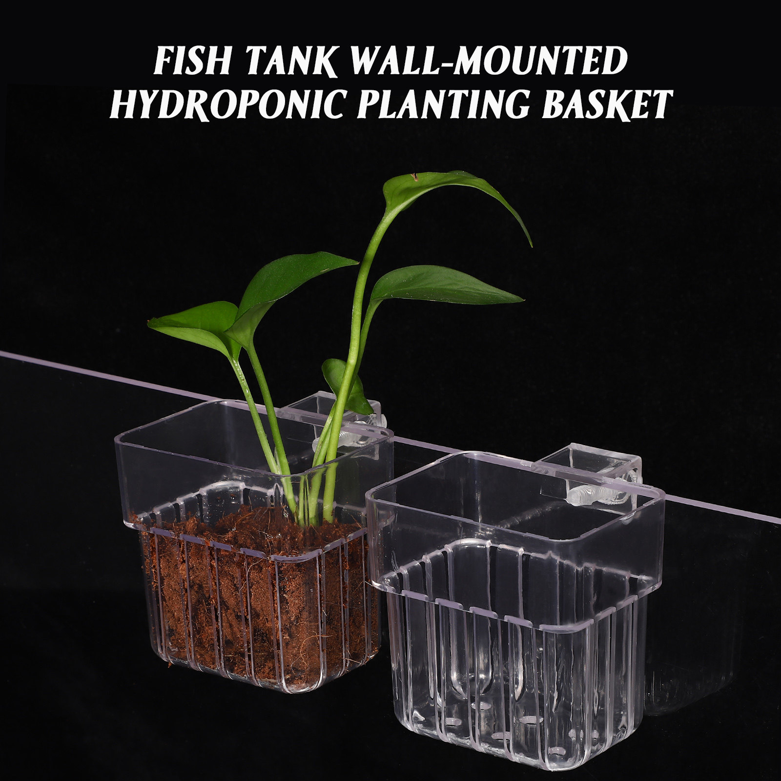 4Pcs Aquarium Plant Holders Cl - Aquarium Planted Set Up 评论和价格
