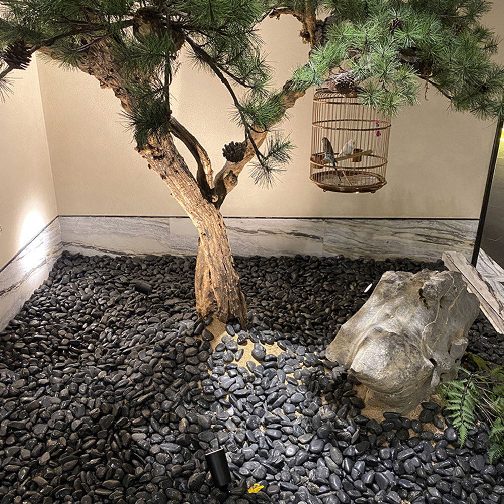 1Set Aquarium Pebbles Natural  - Aquarium Plant Original 评论和价格