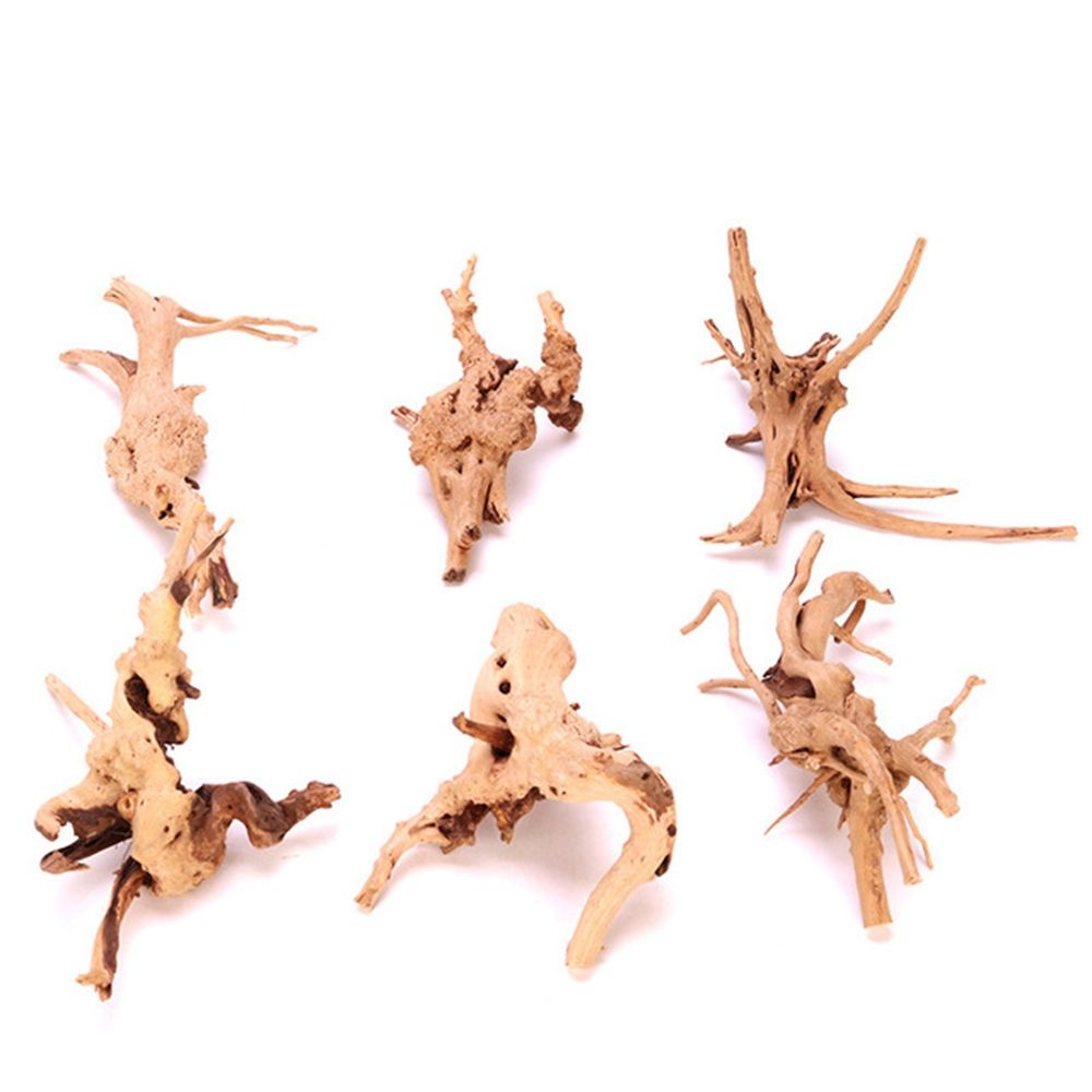 1 Pcs Wood Reptile Fish Tank O - Aquarium Planted Wood 评论和价格