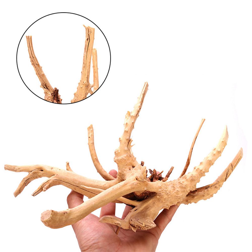 1 Pcs Wood Reptile Fish Tank O - Aquarium Planted Wood 评论和价格