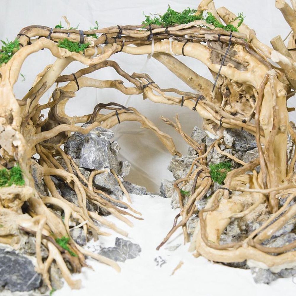 1 Pcs Wood Reptile Fish Tank O - Aquarium Planted Wood 评论和价格