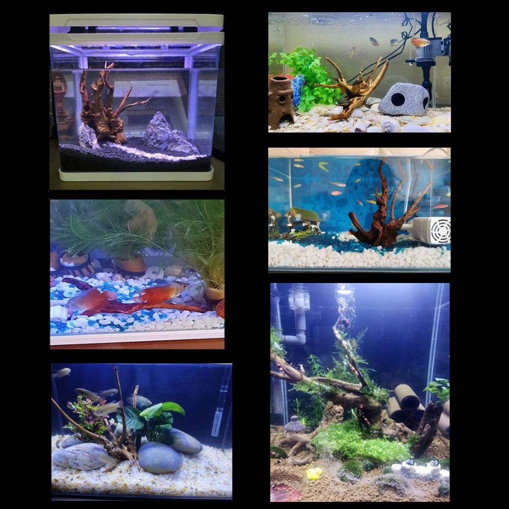 Natural Tree Trunk Aquarium De - Aquarium Planted Wood 评论和价格
