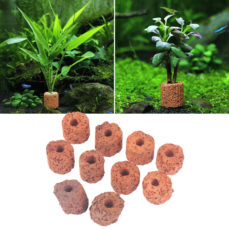 10Pcs Mini Aquatic Plant Ring  - Aquarium Planted Set Up 评论和价格