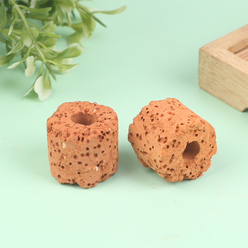10Pcs Mini Aquatic Plant Ring  - Aquarium Planted Set Up 评论和价格