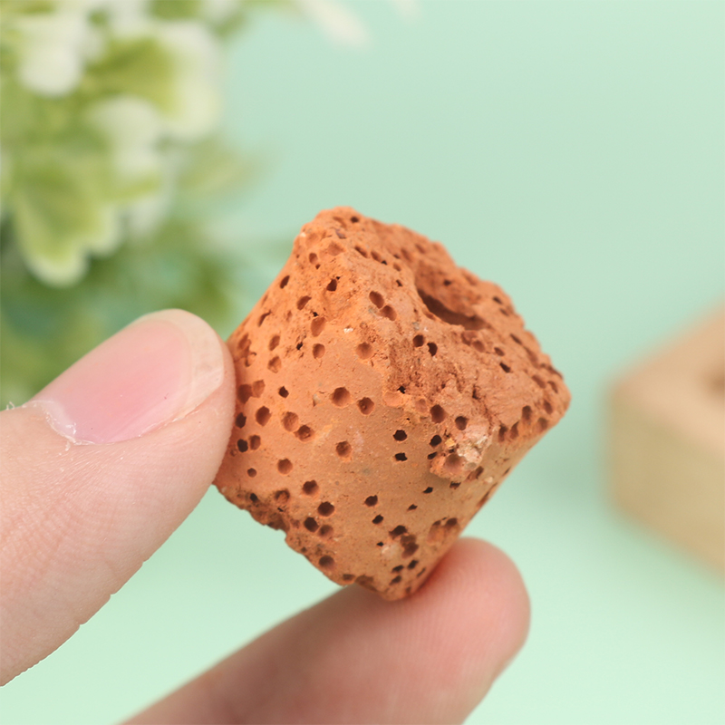 10Pcs Mini Aquatic Plant Ring  - Aquarium Planted Set Up 评论和价格