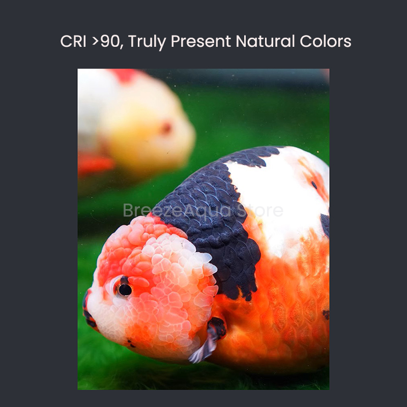 MAYIN Super Colour 100W Freshw - Planted Aquarium Freshwater 评论和价格