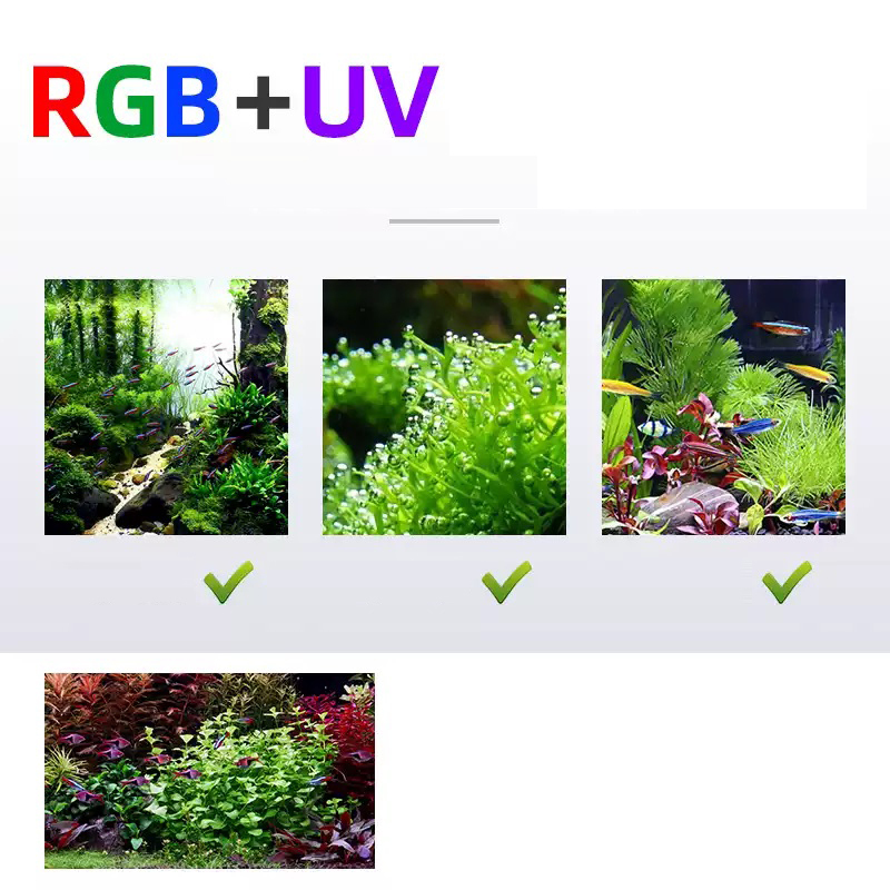 Led Lighting 60cm 80cm 90cm RG - Aquarium Plants For Sale 评论和价格
