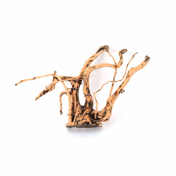Wholesale Hot Sale Natural Dec - Aquarium Plants For Sale 评论和价格