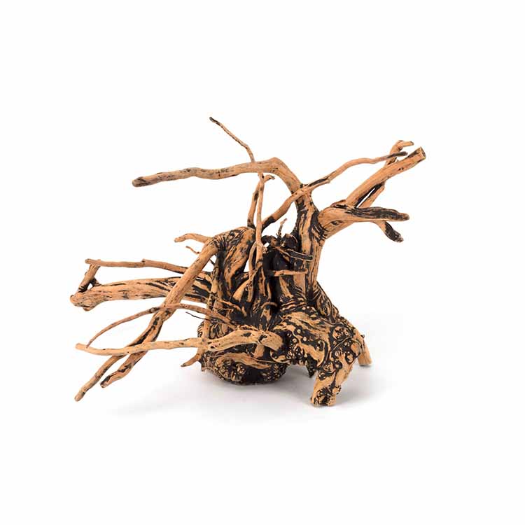 Wholesale Hot Sale Natural Dec - Aquarium Plants For Sale 评论和价格