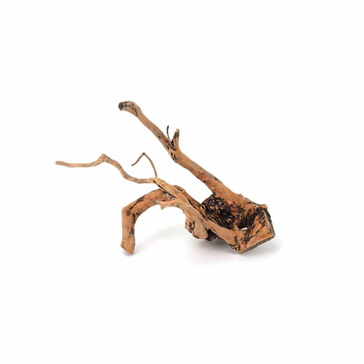 Wholesale Hot Sale Natural Dec - Aquarium Plants For Sale 评论和价格