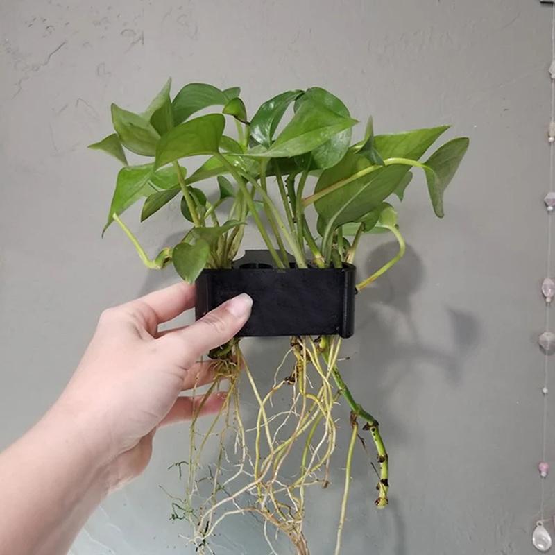 1 2 3Pcs Aquarium Plant Suppor - Aquarium Planted Set Up 评论和价格