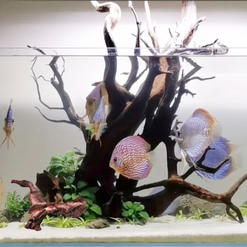 Creative Irregular Shape Coral - Aquarium Planted Wood 评论和价格