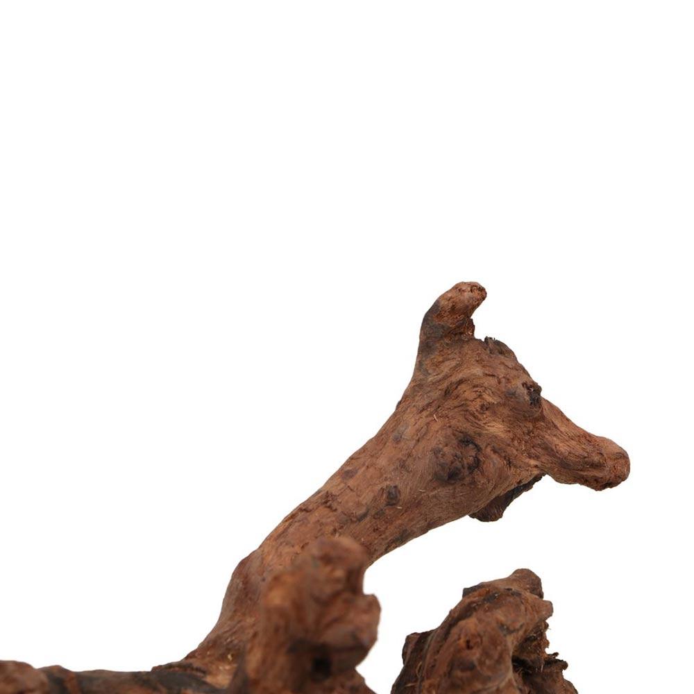 Creative Irregular Shape Coral - Aquarium Planted Wood 评论和价格