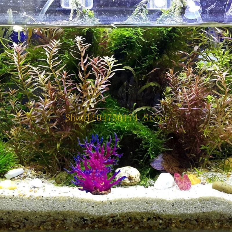 Artificial Water Plant Aquariu - Aquarium Plants For Sale 评论和价格