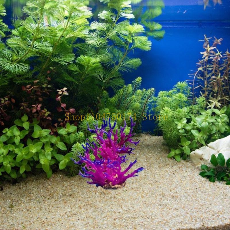 Artificial Water Plant Aquariu - Aquarium Plants For Sale 评论和价格