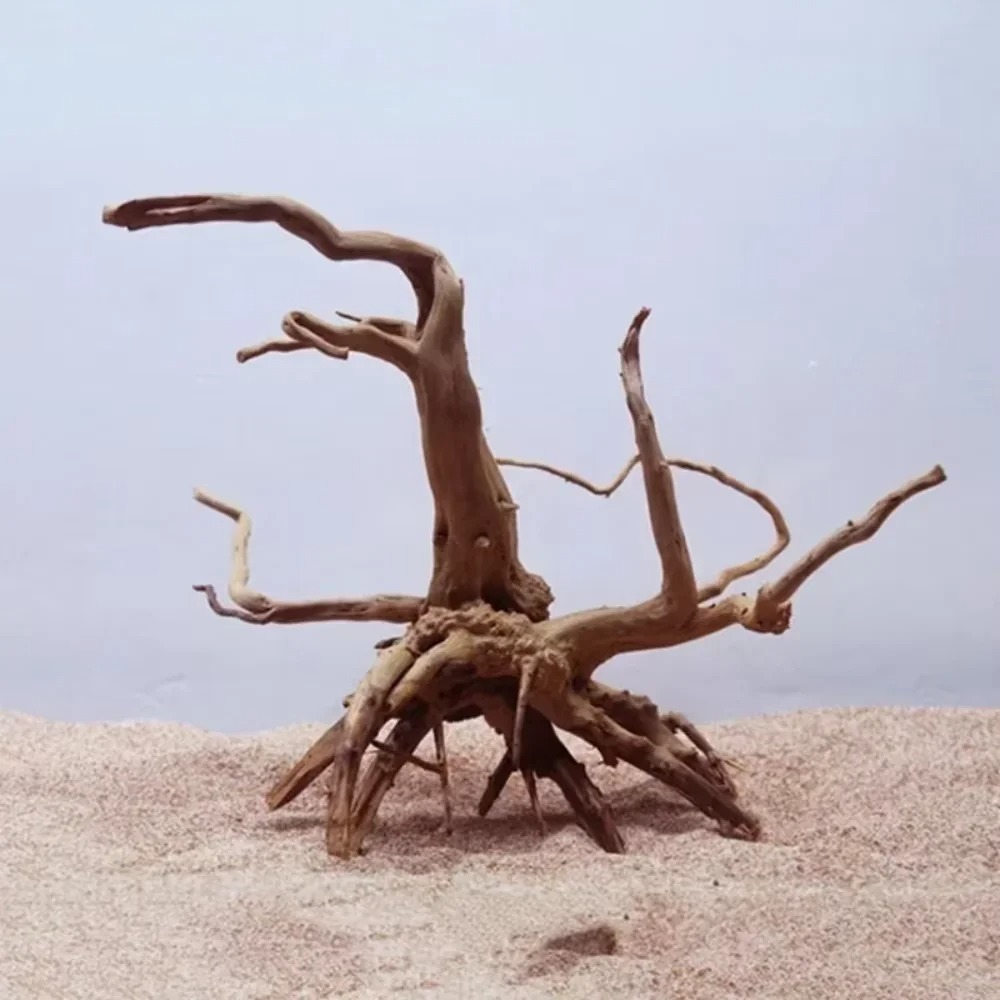 15-20CM Natural Driftwood Aqua - Aquarium Planted Wood 评论和价格