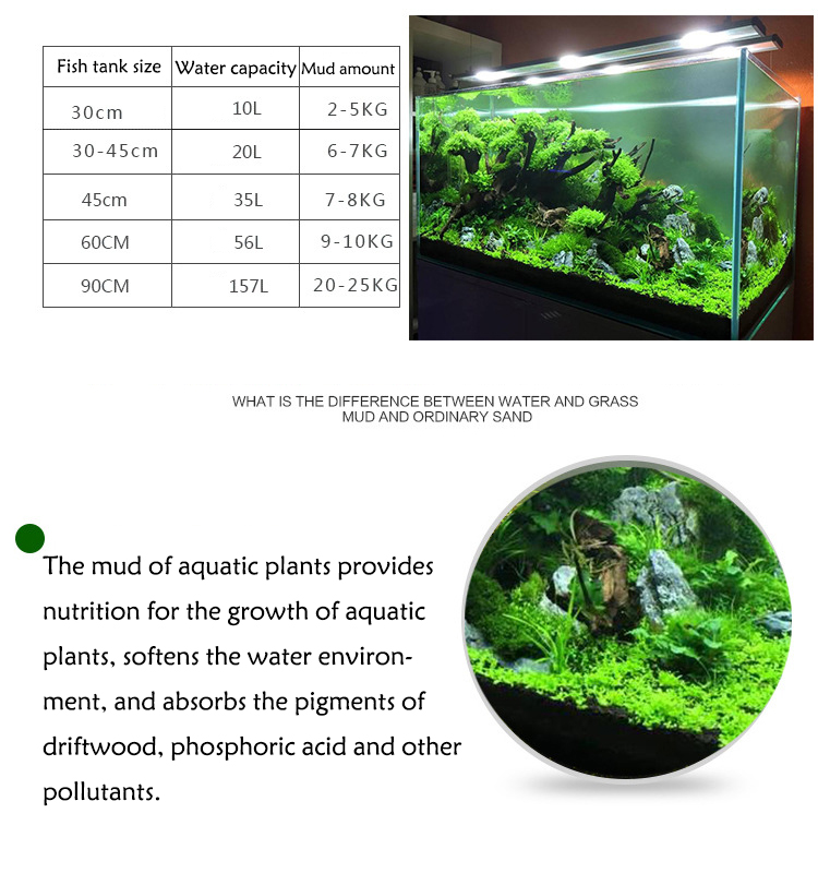 Aquarium Plant Seeds Soil Fish - Planted Aquarium Freshwater 评论和价格