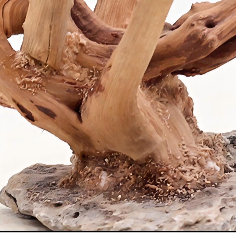 1PC Aquarium Landscaping Wood  - Aquarium Planted Wood 评论和价格