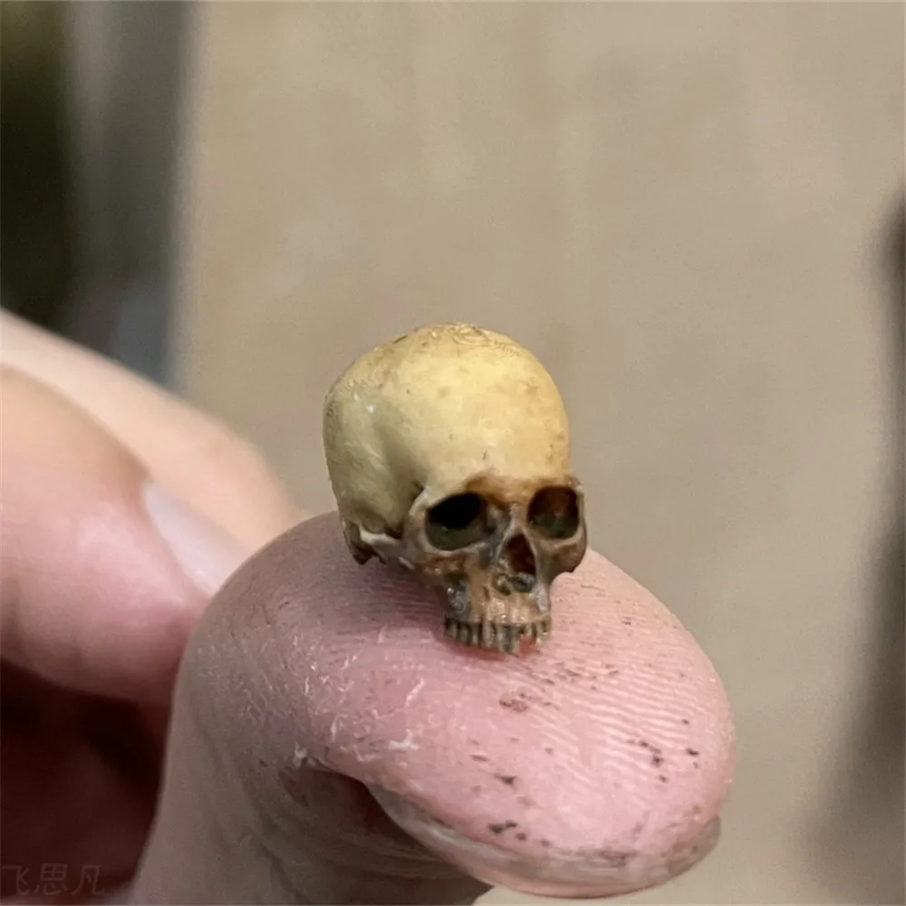 Mini Skull High Quality Miniat - Aquarium Plant Display 评论和价格