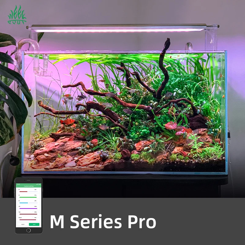 ZXY Hot Sales WEEK AQUA M1200P - Aquarium Plants For Sale 评论和价格