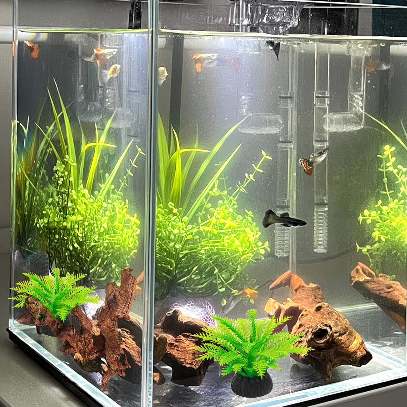 5-10CM Natural Sinkable Driftw - Aquarium Planted Wood 评论和价格