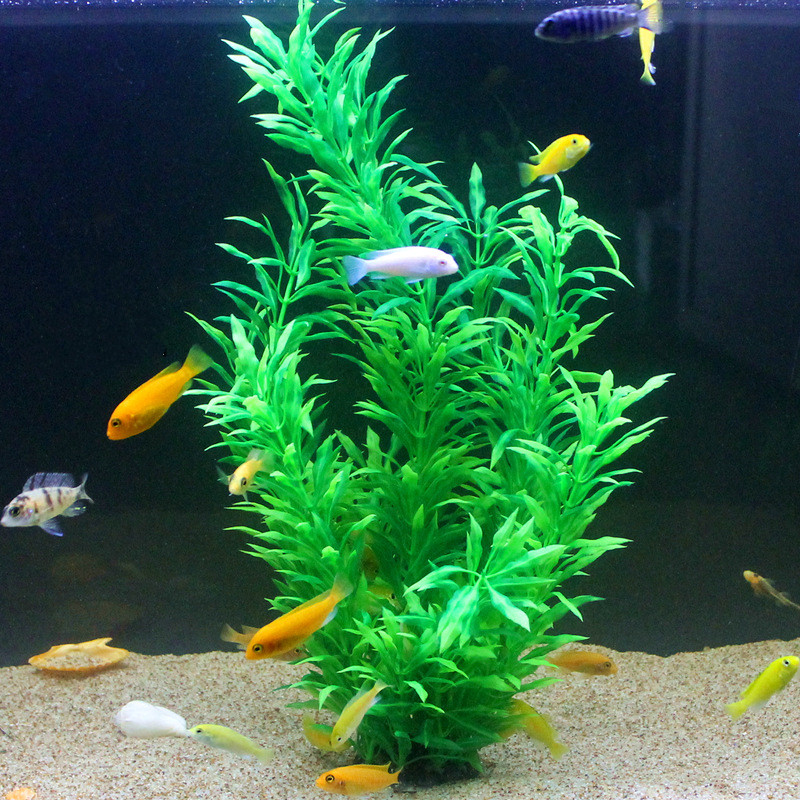 50CM Artificial Fish Tank Rare - Aquarium Plant Display 评论和价格