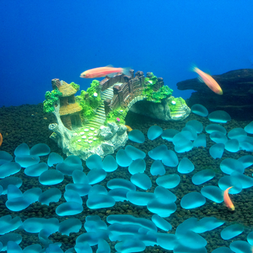 Aquarium Accessories Arbor Tre - Aquarium Planted Wood 评论和价格